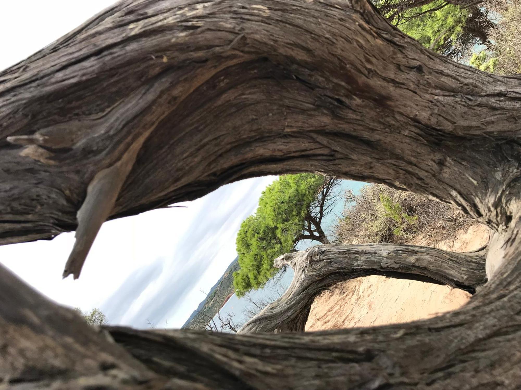 Casa Totti Vue Avec Piscine * Porto-Vecchio (Corsica)